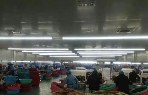 走進百億工廠 那些年食品集團如何用機械科技重塑生產版圖