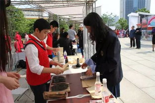 我市下城區(qū)第十七屆 教育超市 教育公園 咨詢服務活動在武林廣場歡樂開鑼